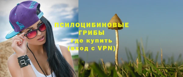 spice Арсеньев