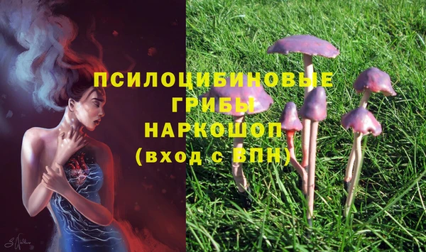spice Арсеньев