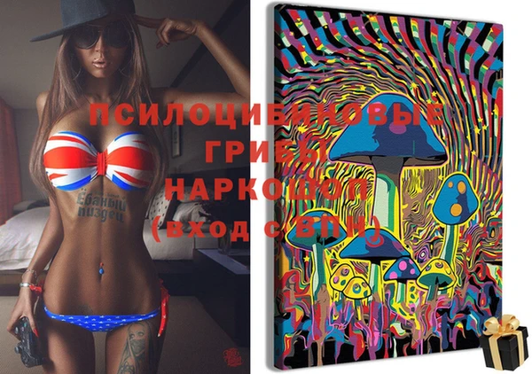 дживик Аркадак