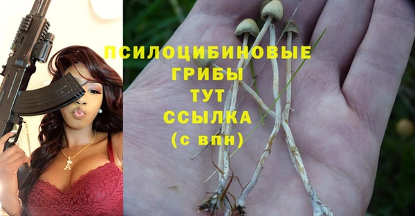 дживик Аркадак