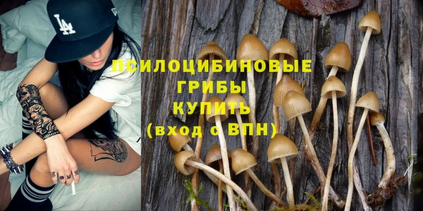 дживик Аркадак