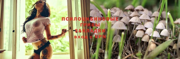 дживик Аркадак