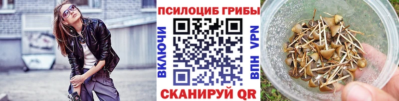 KRAKEN ССЫЛКА  Усть-Джегута  Галлюциногенные грибы ЛСД 
