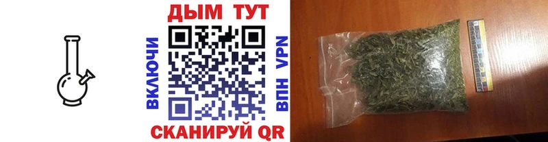 Бошки марихуана конопля  сколько стоит  Усть-Джегута 