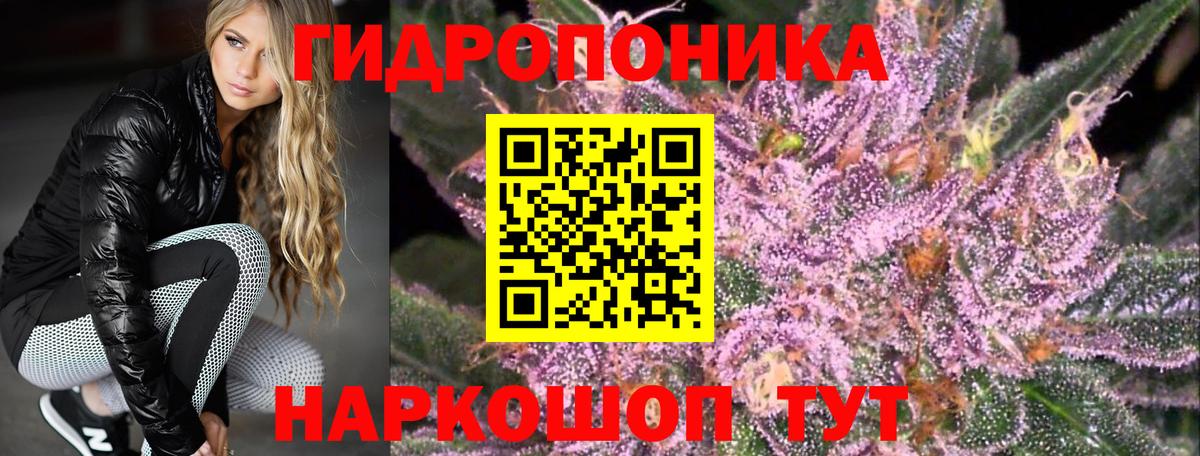 Каннабис SATIVA & INDICA Усть-Джегута